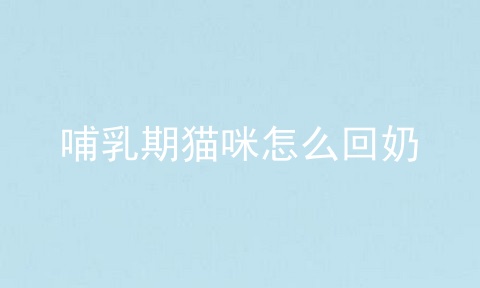 哺乳期猫咪怎么回奶