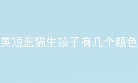 英短蓝猫生孩子有几个颜色