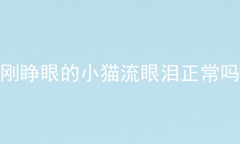 刚睁眼的小猫流眼泪正常吗