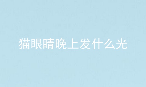 猫眼睛晚上发什么光