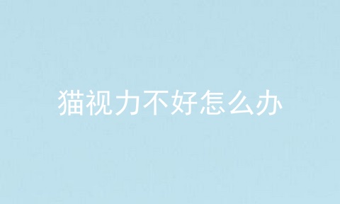 猫视力不好怎么办