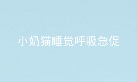 小奶猫睡觉呼吸急促