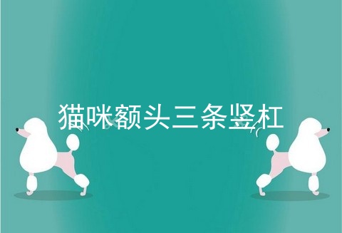 猫咪额头三条竖杠