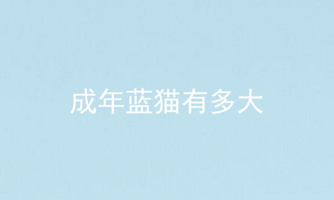 成年蓝猫有多大