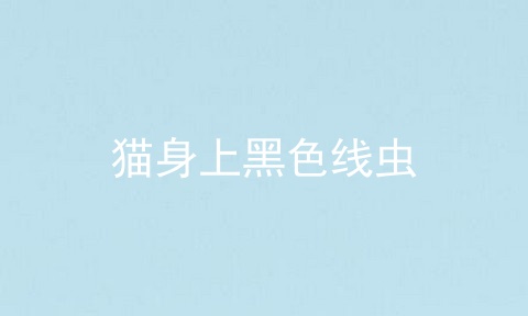 猫身上黑色线虫