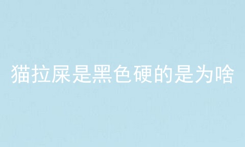 猫拉屎是黑色硬的是为啥