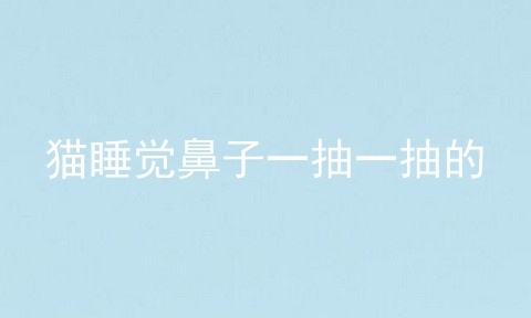 猫睡觉鼻子一抽一抽的