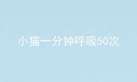 小猫一分钟呼吸50次