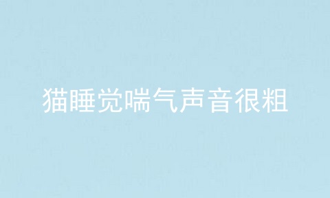 猫睡觉喘气声音很粗