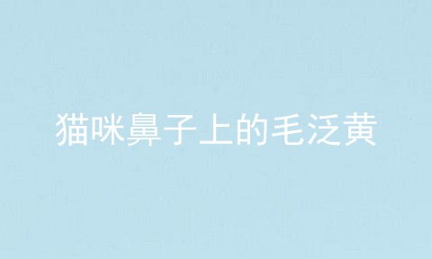 猫咪鼻子上的毛泛黄