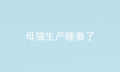母猫生产睡着了
