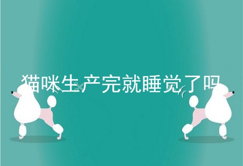 猫咪生产完就睡觉了吗
