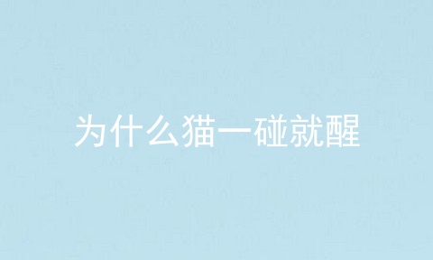 为什么猫一碰就醒