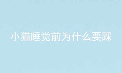 小猫睡觉前为什么要踩