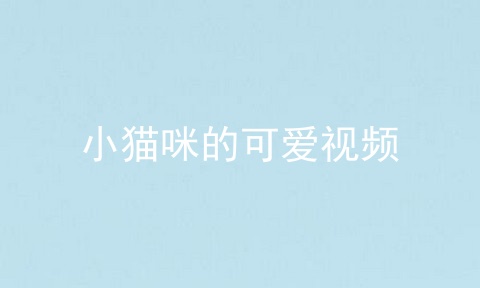 小猫咪的可爱视频