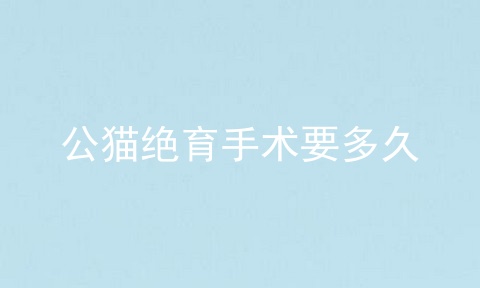 公猫绝育手术要多久