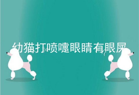 幼猫打喷嚏眼睛有眼屎