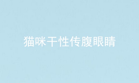 猫咪干性传腹眼睛