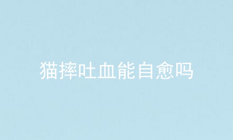 猫摔吐血能自愈吗