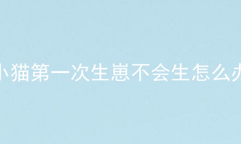 小猫第一次生崽不会生怎么办