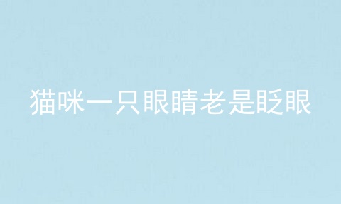 猫咪一只眼睛老是眨眼