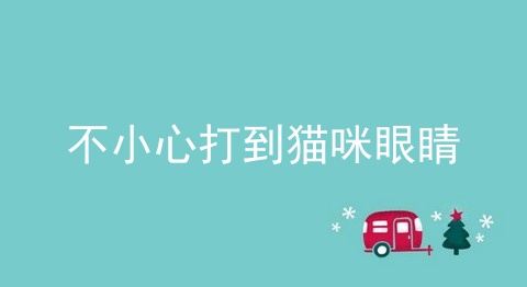 不小心打到猫咪眼睛