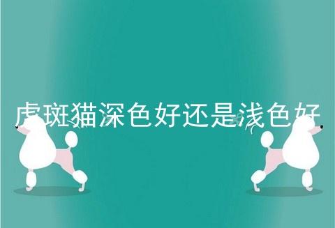 虎斑猫深色好还是浅色好
