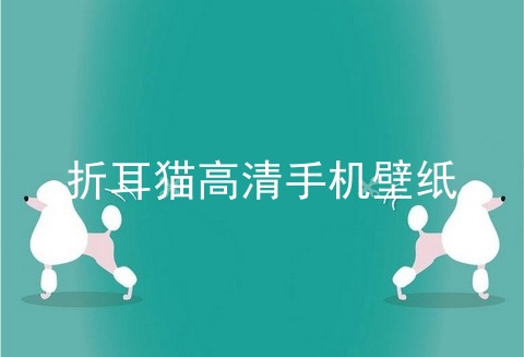 折耳猫高清手机壁纸