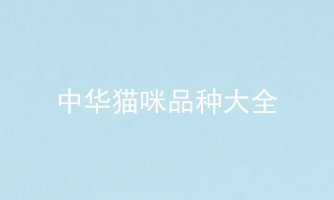 中华猫咪品种大全