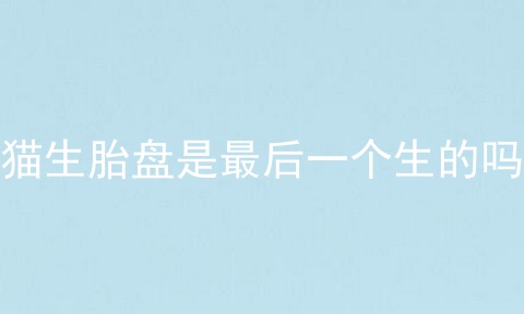 猫生胎盘是最后一个生的吗