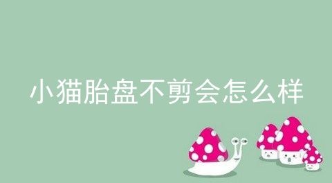 小猫胎盘不剪会怎么样