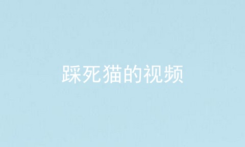 踩死猫的视频