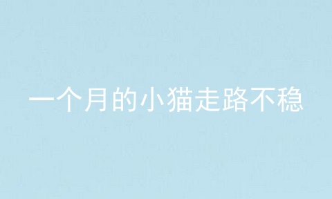 一个月的小猫走路不稳