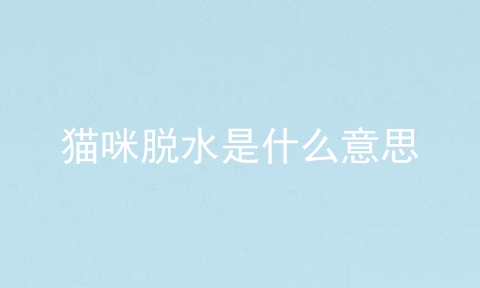 猫咪脱水是什么意思