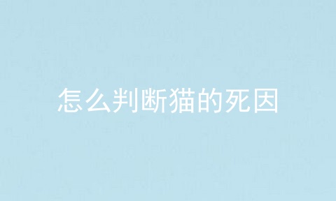 怎么判断猫的死因