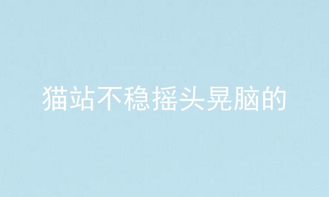 猫站不稳摇头晃脑的