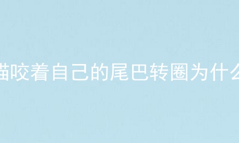 猫咬着自己的尾巴转圈为什么