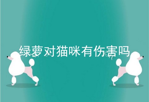 绿萝对猫咪有伤害吗