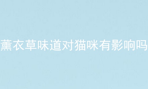 薰衣草味道对猫咪有影响吗