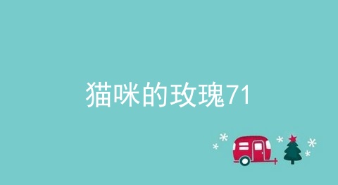 猫咪的玫瑰71