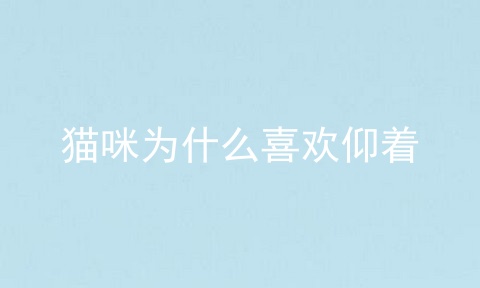 猫咪为什么喜欢仰着