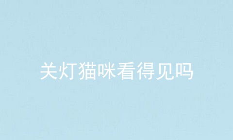 关灯猫咪看得见吗