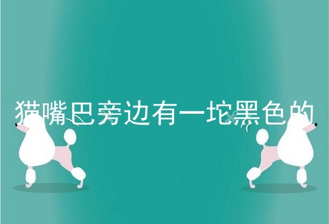 猫嘴巴旁边有一坨黑色的