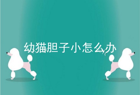 幼猫胆子小怎么办