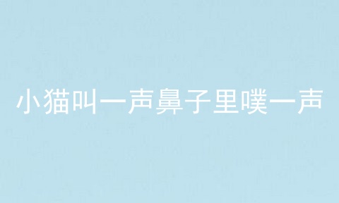 小猫叫一声鼻子里噗一声