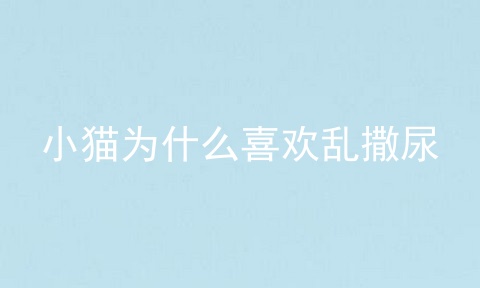小猫为什么喜欢乱撒尿
