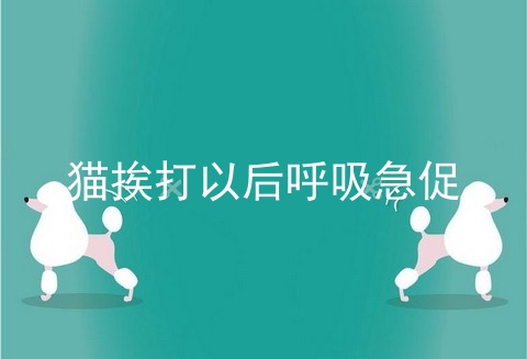 猫挨打以后呼吸急促