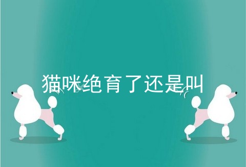 猫咪绝育了还是叫