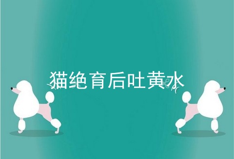 猫绝育后吐黄水