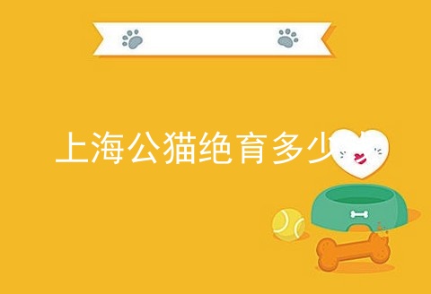 上海公猫绝育多少钱